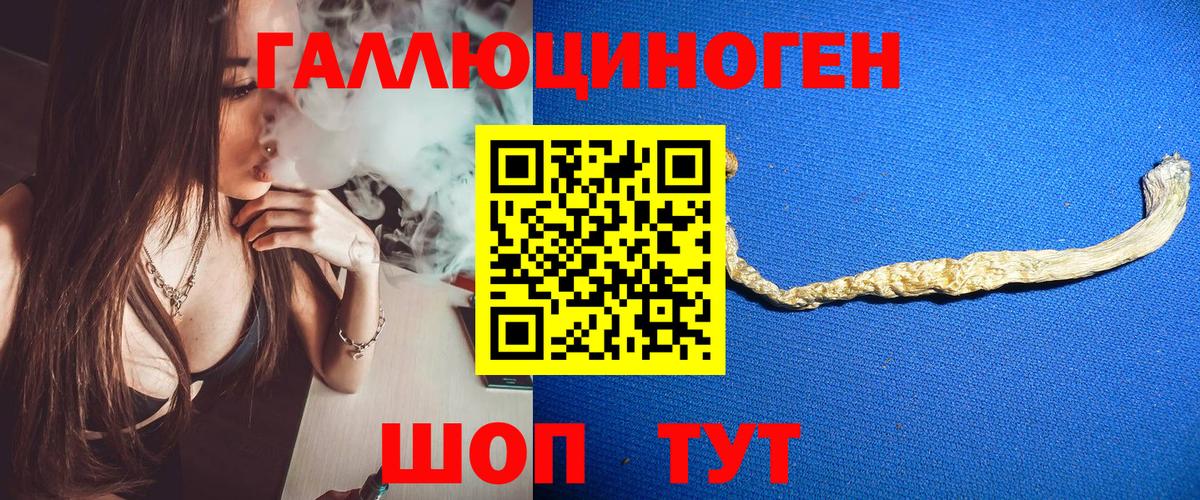 Псилоцибиновые грибы Psilocybine cubensis  Вход с VPN  Великие Луки 