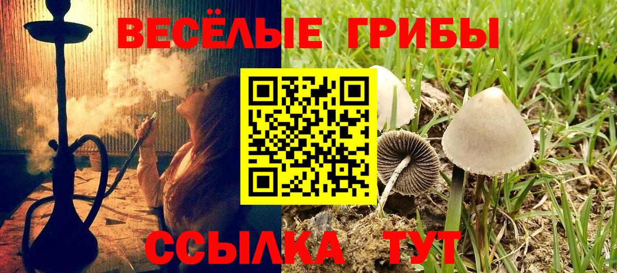 Псилоцибиновые грибы Magic Shrooms Великие Луки
